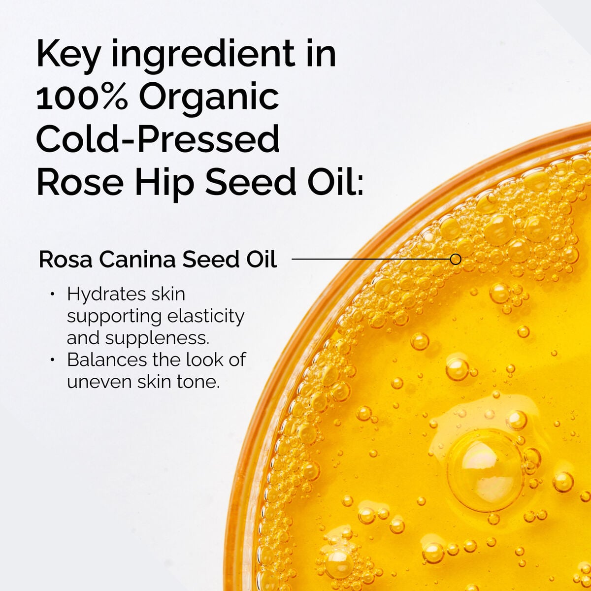 100-organic-cold-pressed-rose-hip-seed-oil-w6 FY25-D41247-ORD-Web-PDP-100-Rose-Hip-Oil-1x1-EN-2.jpg