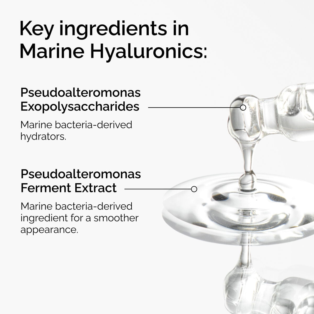 marine-hyaluronics-y6 FY25-D41247-ORD-Web-PDP-Marine-Hya-1x1-EN-2a.jpg