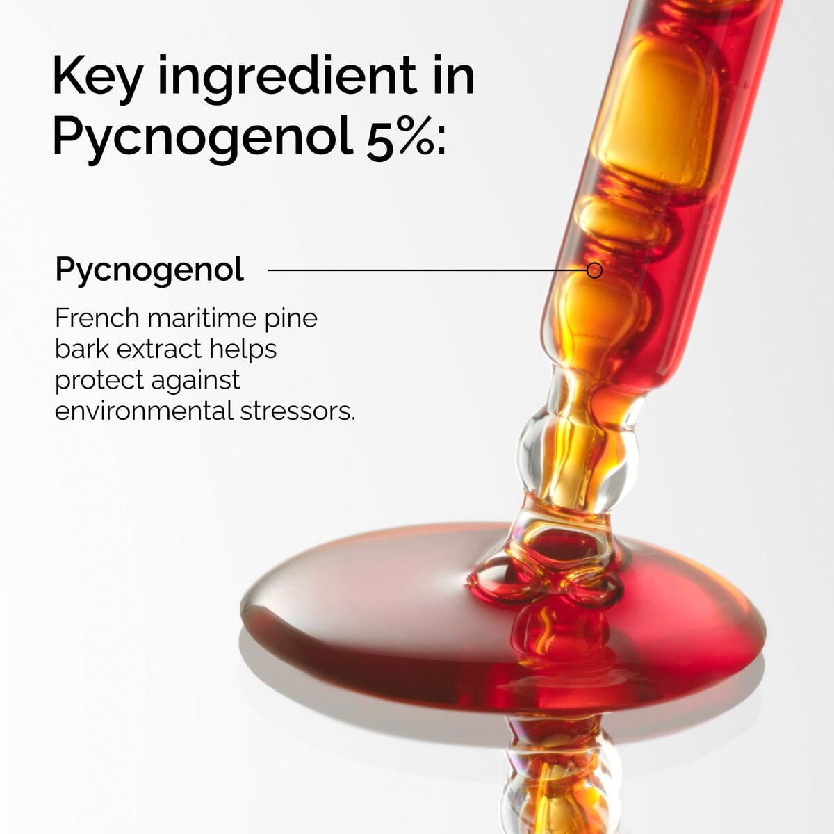 pycnogenol-5-a7 FY25-D41247-ORD-Web-PDP-Pyc-5pct-1x1-EN-2a.jpg