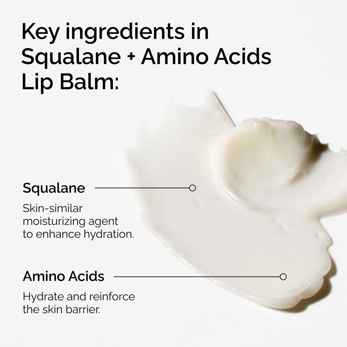squalane-amino-acids-lip-balm-y1 FY25-D41247-ORD-Web-PDP-Sql-Amino-Lip-1x1-EN-2a.jpg