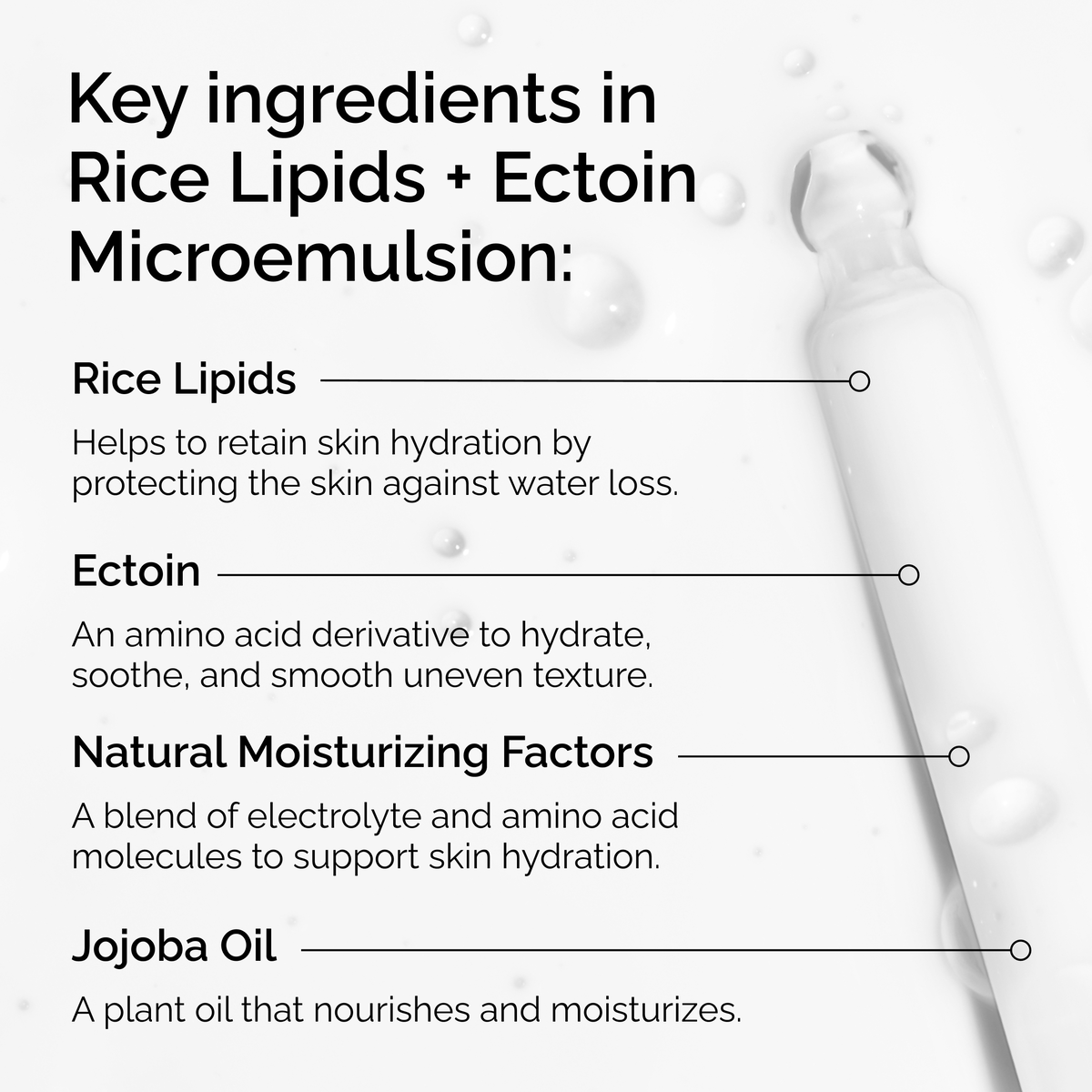 rice-lipids-ectoin-microemulsion-k8 ord-rice-lipids-ectoin-microemulsion-key-ingredients.png