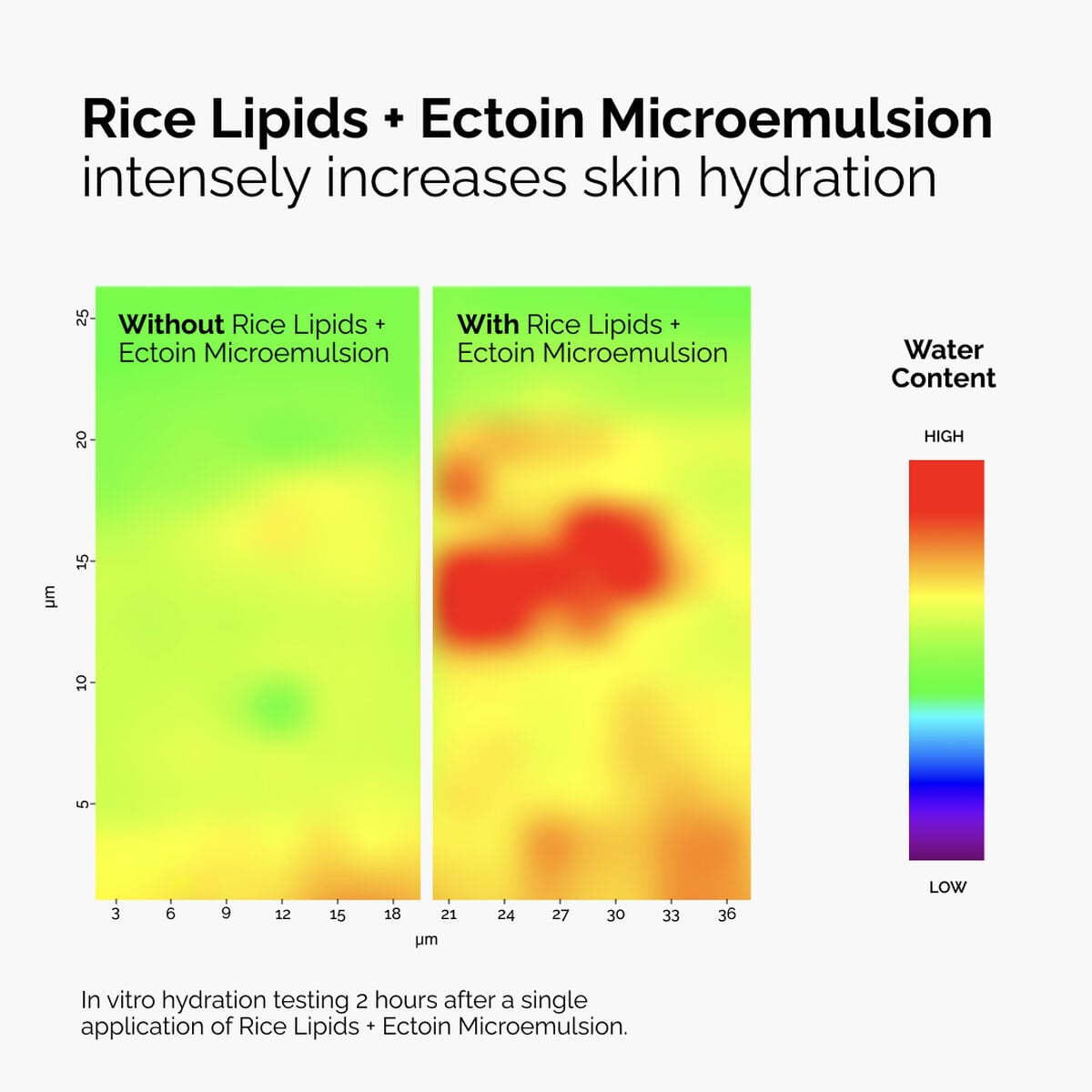 rice-lipids-ectoin-microemulsion-k8 ord-rice-lipids-ectoin-microemulsion-thermal-before-after.jpg